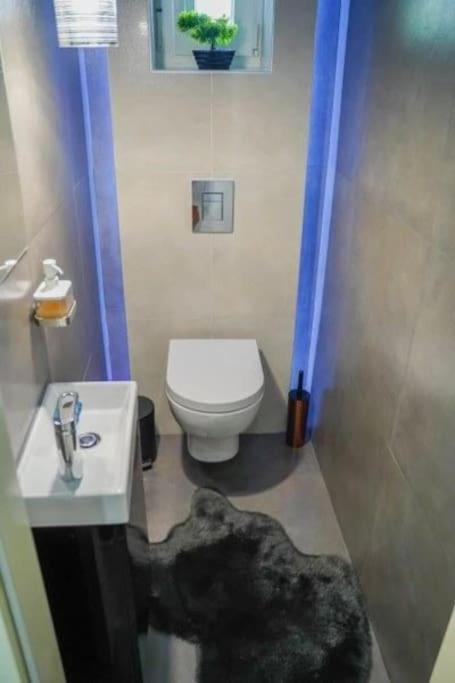 Apartament Chelsea